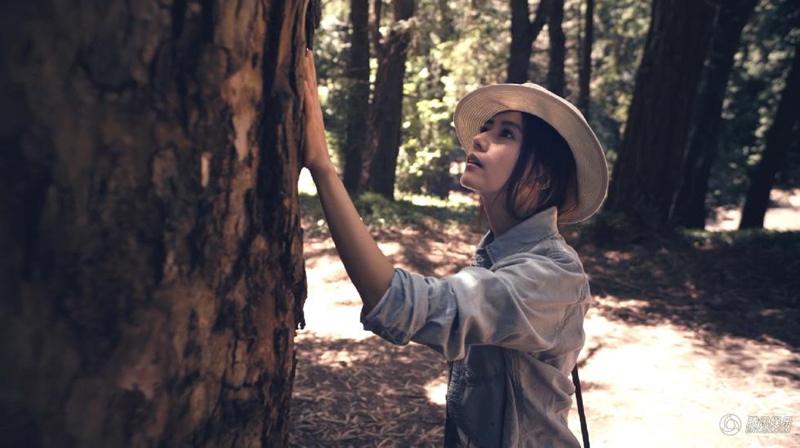 高圆圆畅游加州 沙滩漫步凸显女神气质- Micro