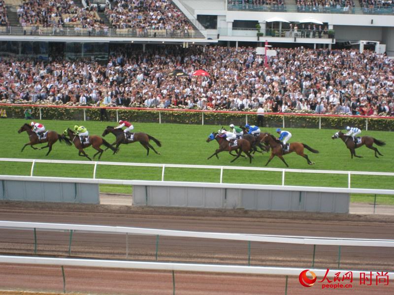 2011��ī���������껪�����ա������ٱ��ٷ�ָ����ʱ���������������