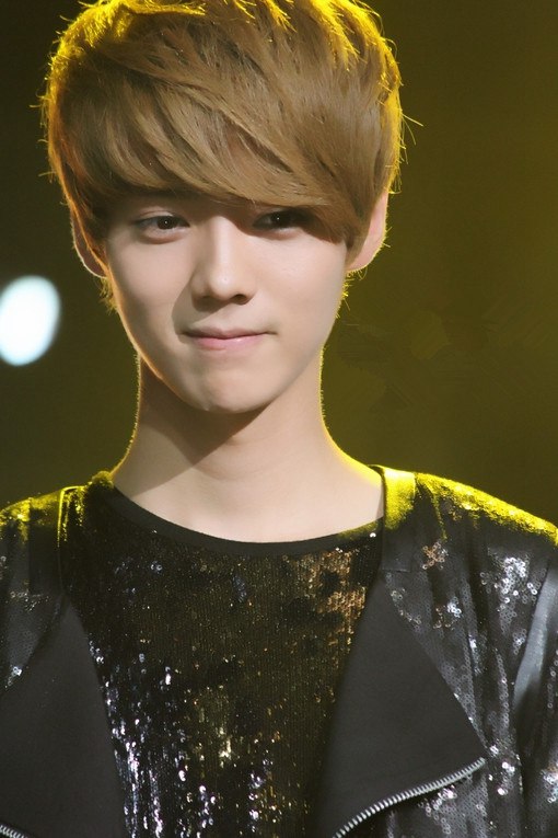 ¹ϣLU HAN1990420ճڱк淢չйи֡Ա