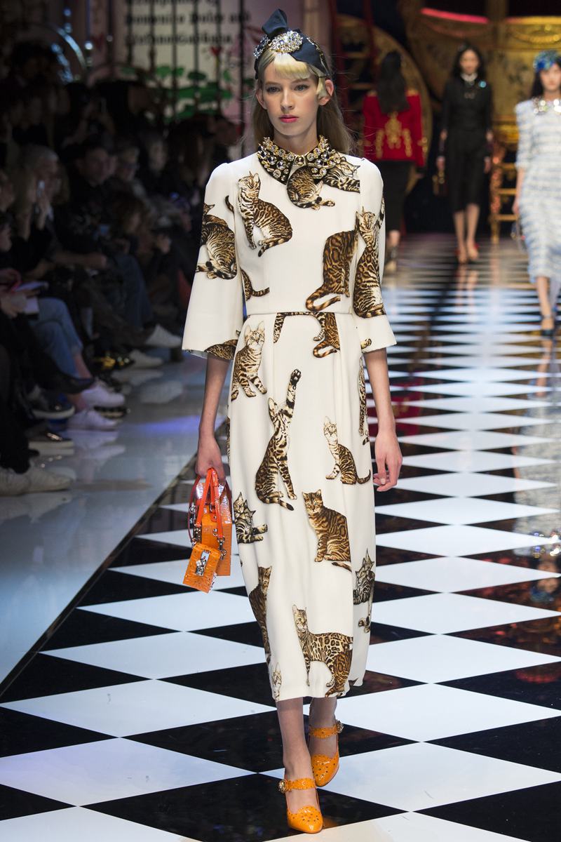 Dolce & Gabbana 2016/2017��V�k�˨t�C�i21�j