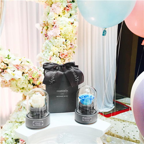 汪峰章子怡女儿百日宴 roseonly打造浪漫花海